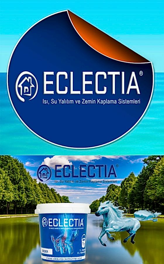 Organizasyon Şeması